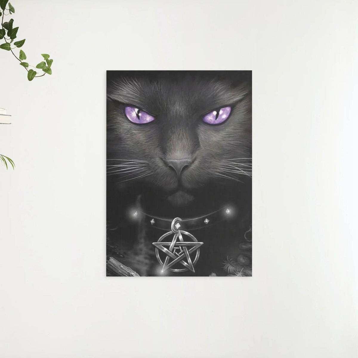 Diamond Painting Zwarte kat en paarse ogen - SEOS Shop ®