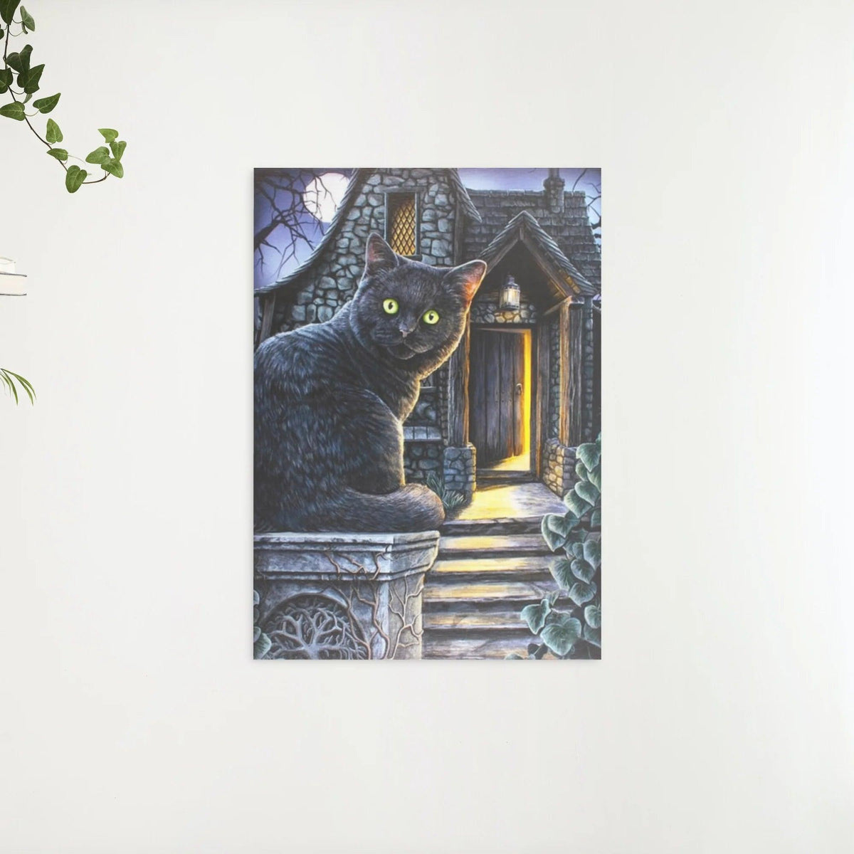 Diamond Painting Zwarte kat met groene ogen - SEOS Shop ®