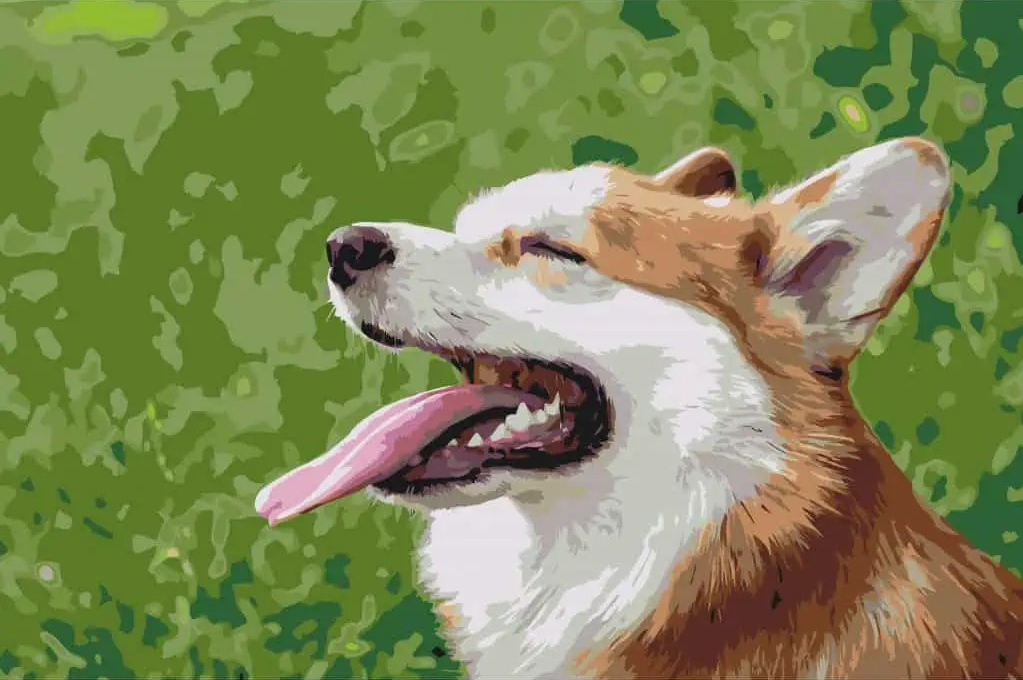 Diamond Painting -  Corgi - SEOS®