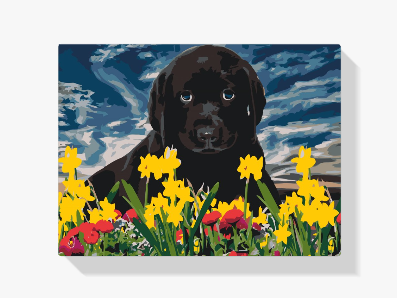 Diamond Painting - Labrador puppy - SEOS®