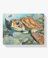 Diamond Painting -  Zeeschildpad - SEOS Shop ®