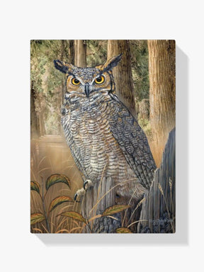 Diamond Painting - Grote Gehoornde Uil