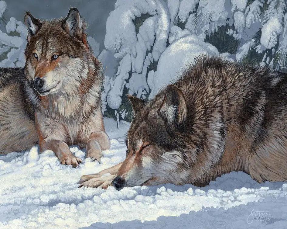 Diamond Painting - Peaceful Greys: Boeiende Wolf