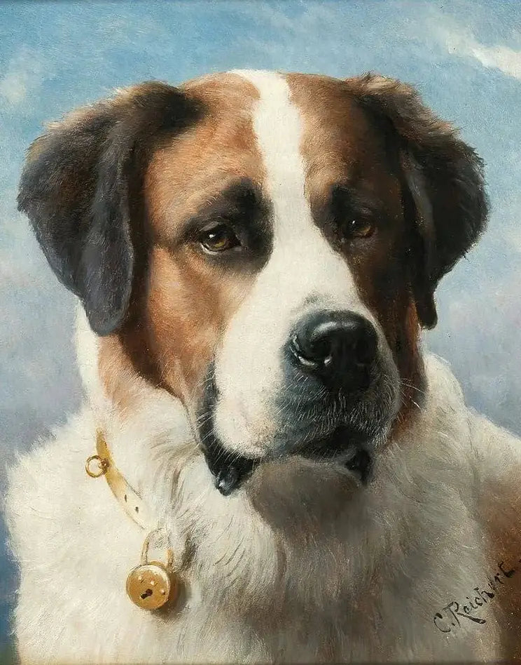 Diamond Painting - Sint Bernard schilderij: Hond