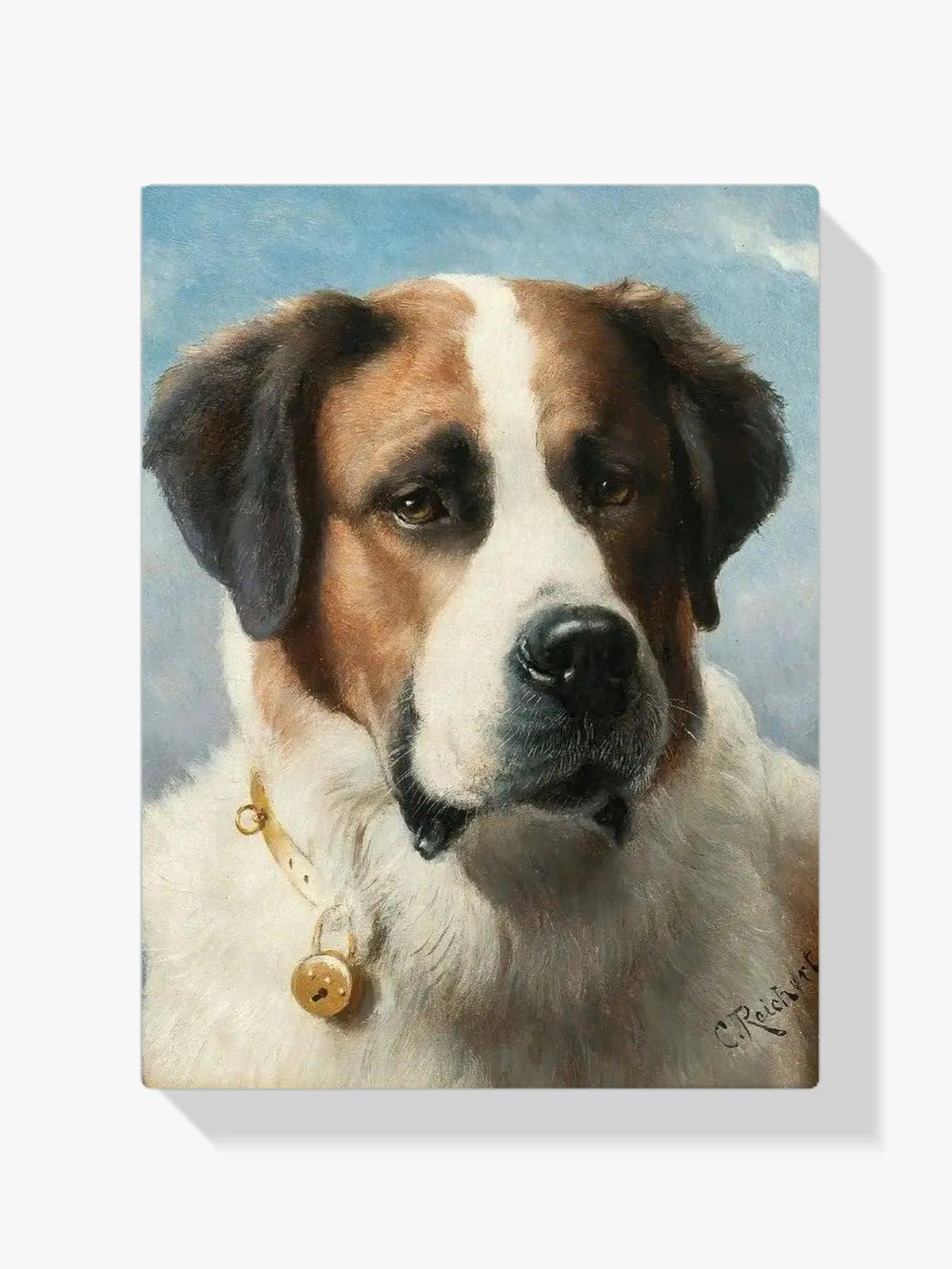 Diamond Painting - Sint Bernard schilderij: Hond