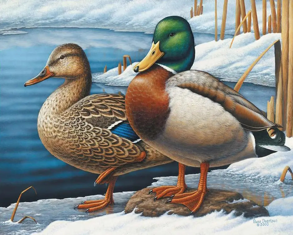 Diamond Painting - Winterbezoekers