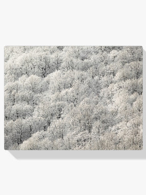 Diamond Painting - Witte bomen