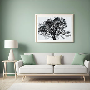 Diamond Painting - Zwart-witte boom - SEOS Shop ®