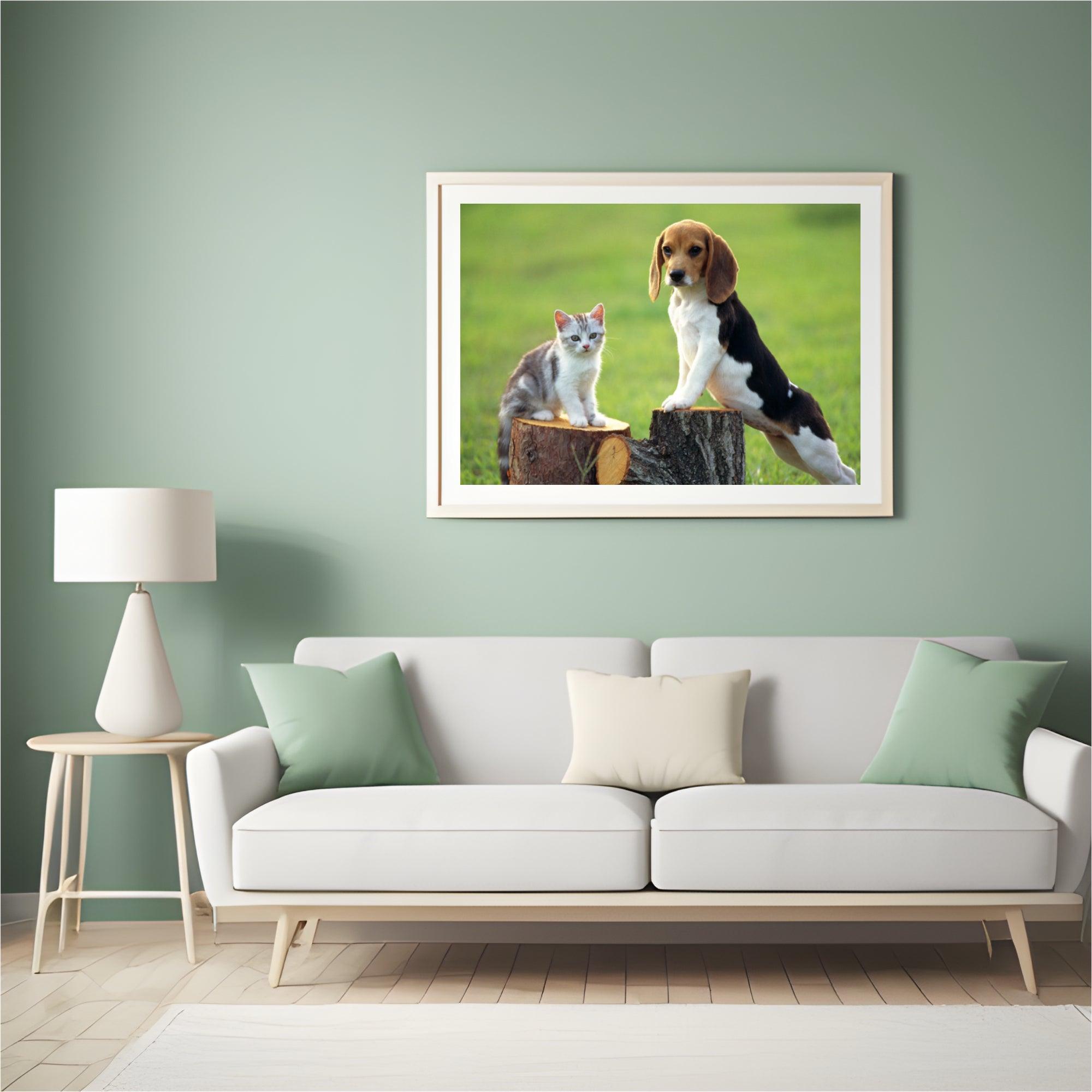 Diamond Painting Hond Met Kat - SEOS Shop ®