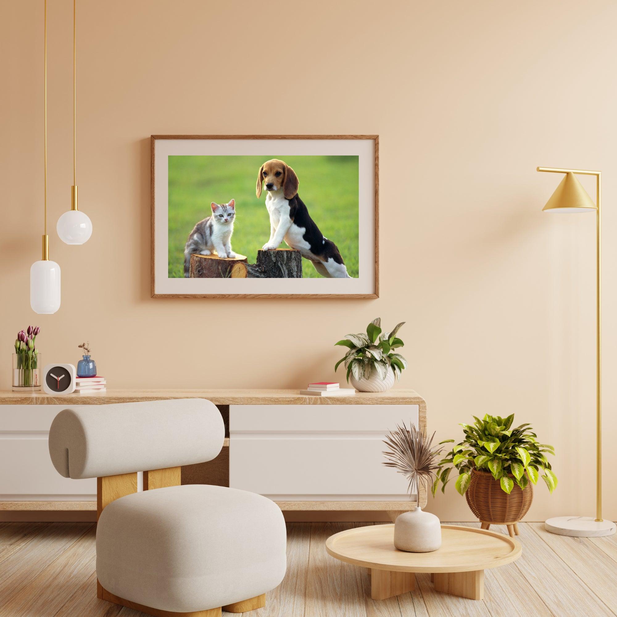 Diamond Painting Hond Met Kat - SEOS Shop ®