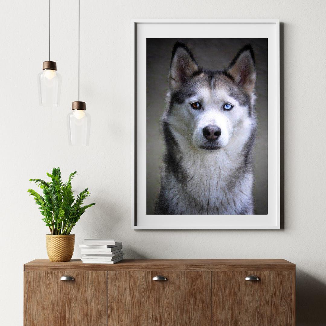 Diamond Painting Husky met puppy ogen - SEOS Shop ®