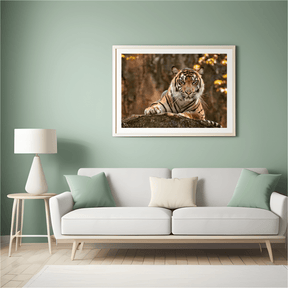 Diamond Painting Liggende tijger - SEOS Shop ®