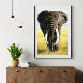 Diamond Painting Safari Olifant met slagtanden - SEOS Shop ®