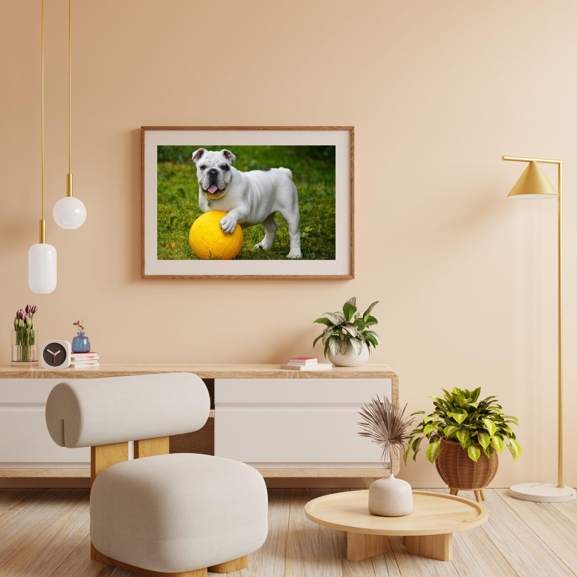 Diamond Painting Witte bulldog met bal - SEOS Shop ®