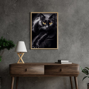 Diamond Painting Zwarte kat en gele ogen - SEOS Shop ®