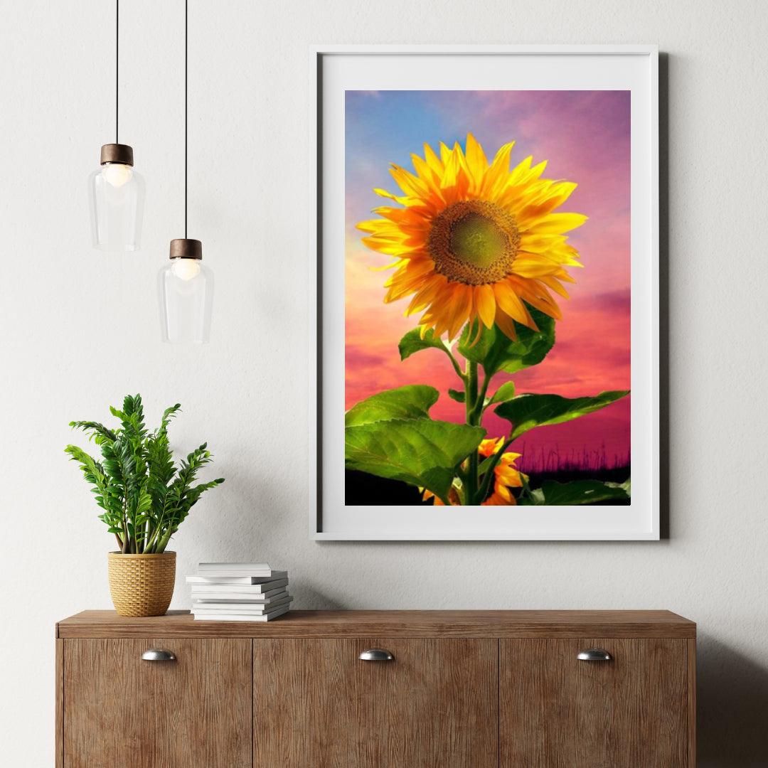 Diamond painting - Zonnebloem in veld - SEOS Shop ®