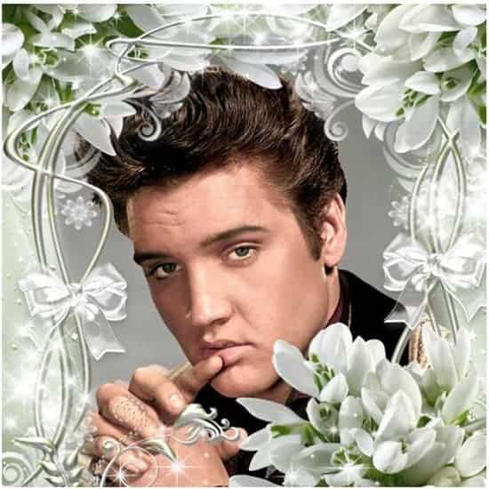 Diamond Painting Elvis Presley - SEOS Shop ®