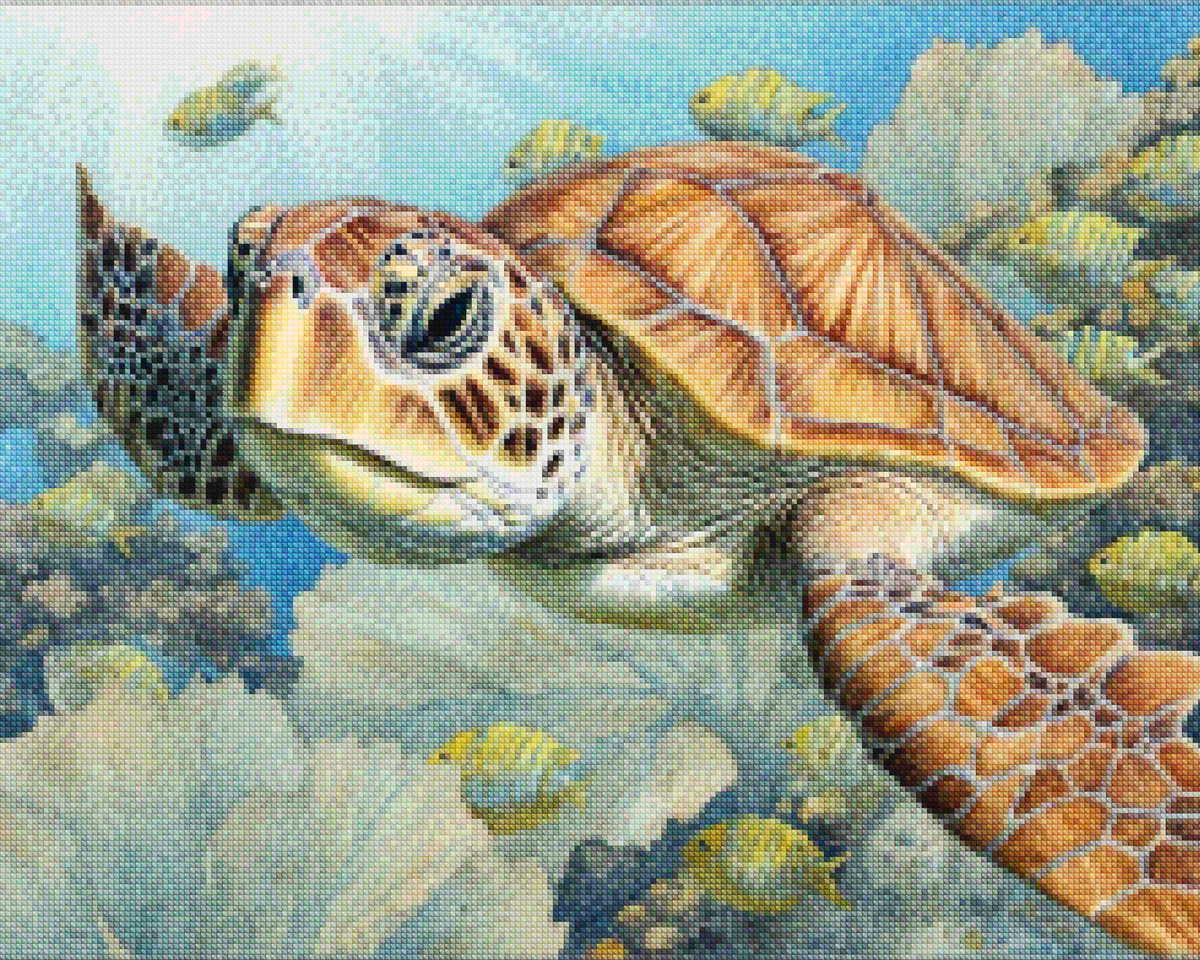 Diamond Painting -  Zeeschildpad - SEOS Shop ®