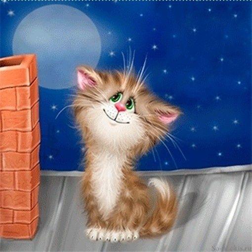 Diamond Painting Kitten bij Schoorsteen - SEOS Shop ®