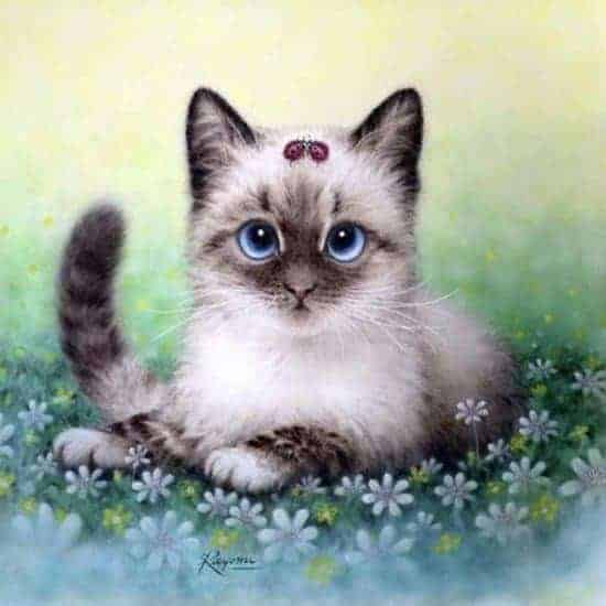 Diamond Painting Pakket Kitten - SEOS Shop ®