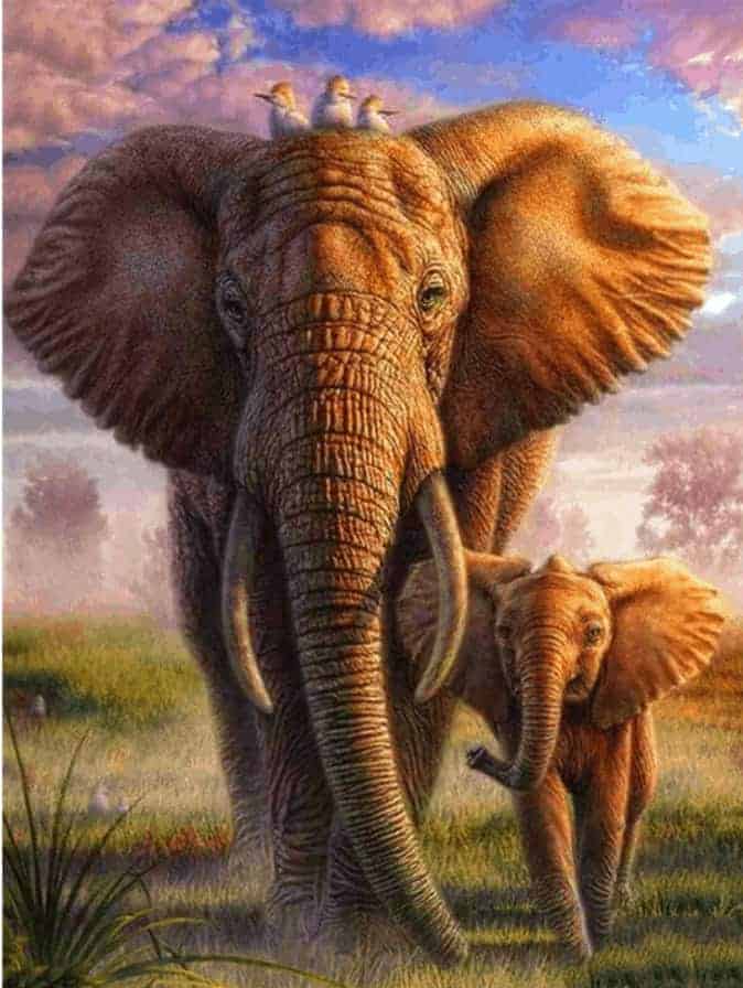 Diamond Painting Kleurrijke Safari Olifant - SEOS Shop ®