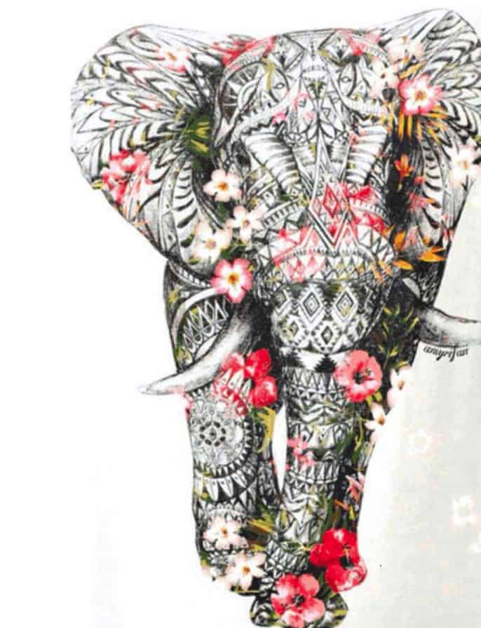 Diamond Painting Mandala Olifant - SEOS Shop ®