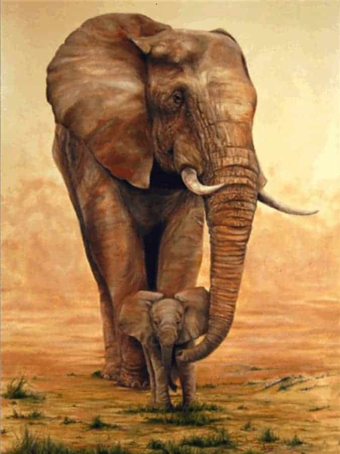 Diamond Painting Olifant met Kalfje op de Savanne - SEOS Shop ®