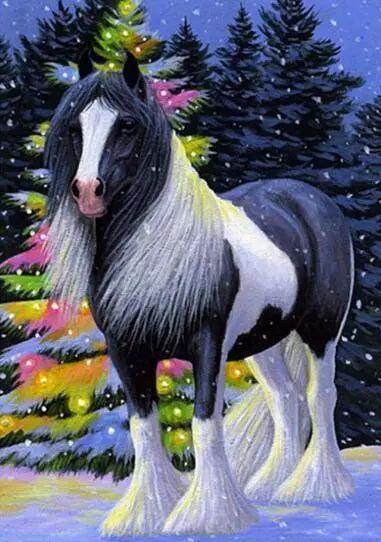 Diamond Painting Paard in de sneeuw - SEOS Shop ®