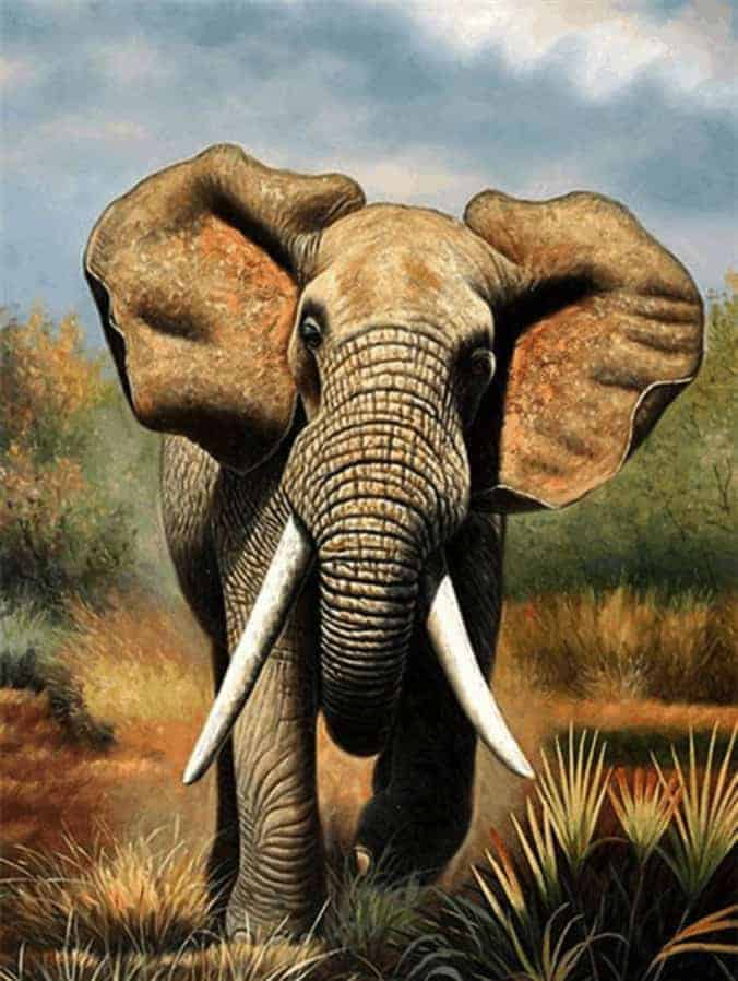 Diamond Painting Rennende Olifant - SEOS Shop ®