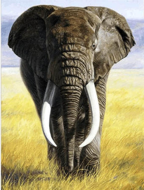 Diamond Painting Safari Olifant met slagtanden - SEOS Shop ®