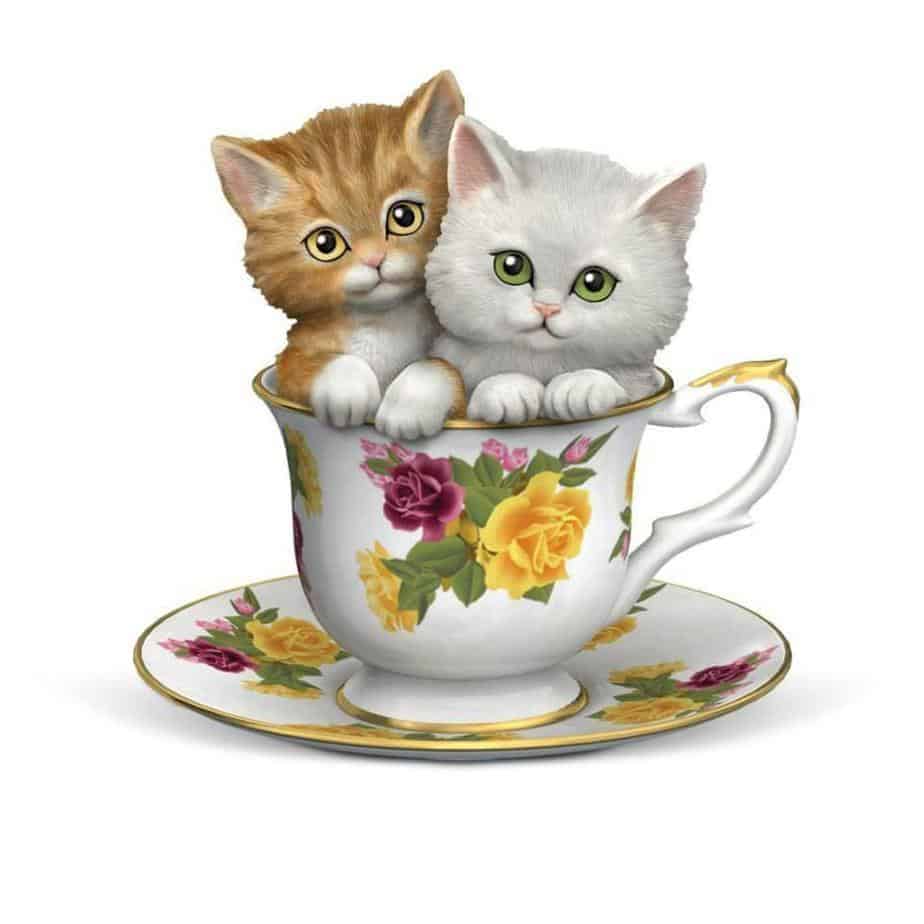 Diamond Painting Kittens in een theekopje - SEOS Shop ®